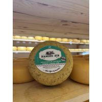 Ramski polutvrdi sir sa začinom peršin i bijeli luk (cca 1 kg)